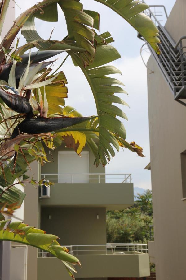 Kamares Apts - Antonis Cozy Maisonette Chania  Buitenkant foto