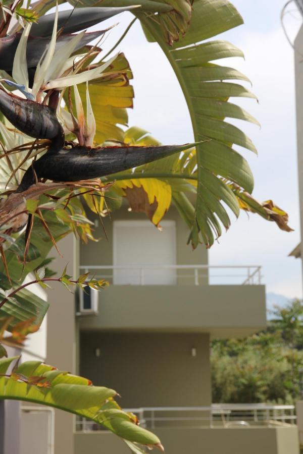 Kamares Apts - Antonis Cozy Maisonette Chania  Buitenkant foto